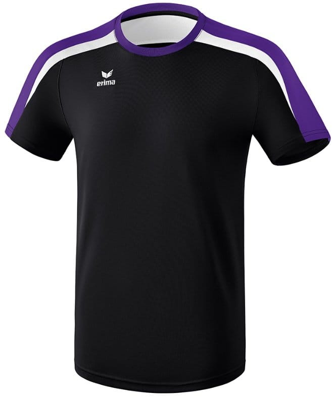 Pánské tréninkové tričko s krátkým rukávem Erima Liga 2.0